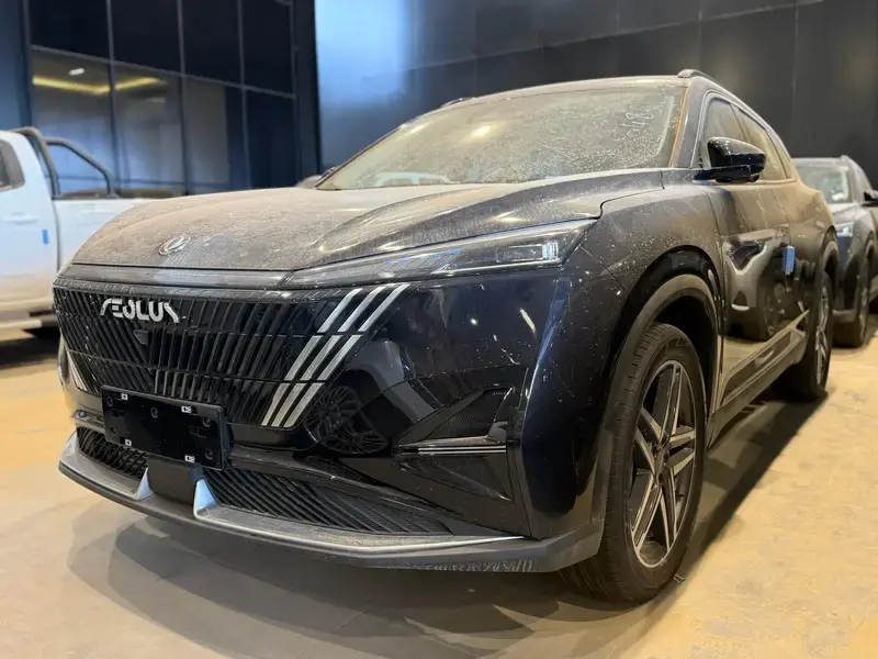 Dongfeng Mage 2025