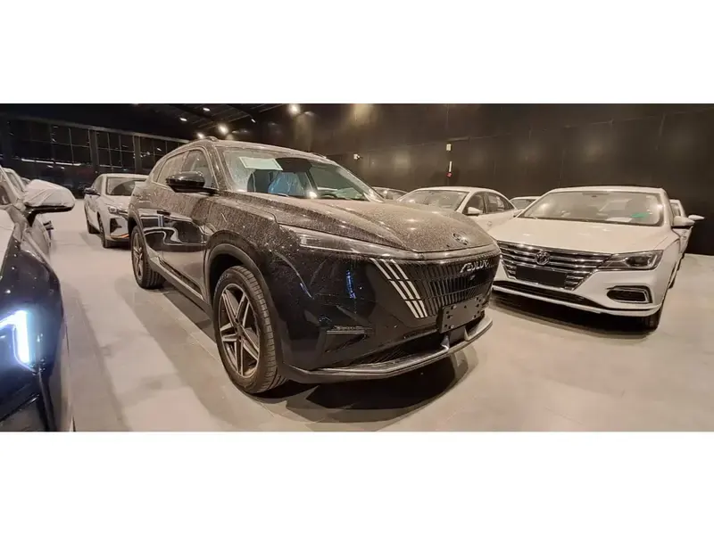 دونغ فينغ ميج 2025