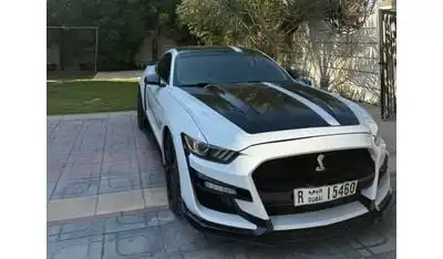 Ford Mustang Mustang GT 5.0 manual