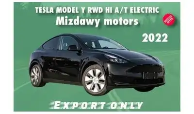 تسلا موديل Y TESLA MODEL Y RWD HI A/T ELECTRIC 2022 (PLUS 10% FOR LOCAL REGISTRATION)