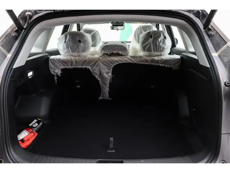 Geely STARRAY 2024