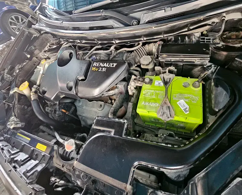 رينو كوليوس 2014