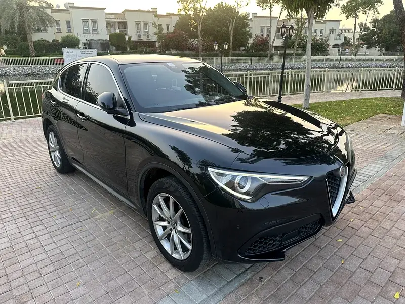 ألفا روميو ستيلفيو 2019