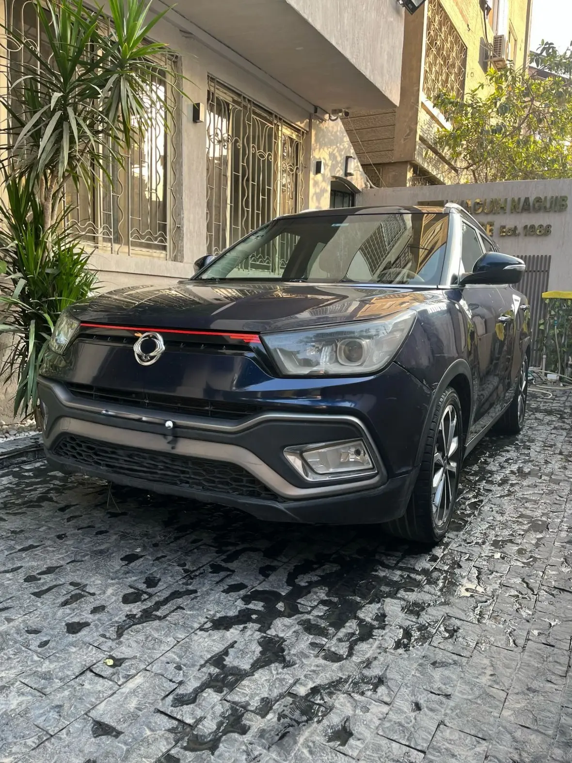 سانج يونج تيفولي 2019