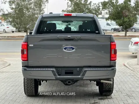 New Ford F-150 2023