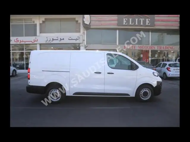 2022 بيجو اكسبرت