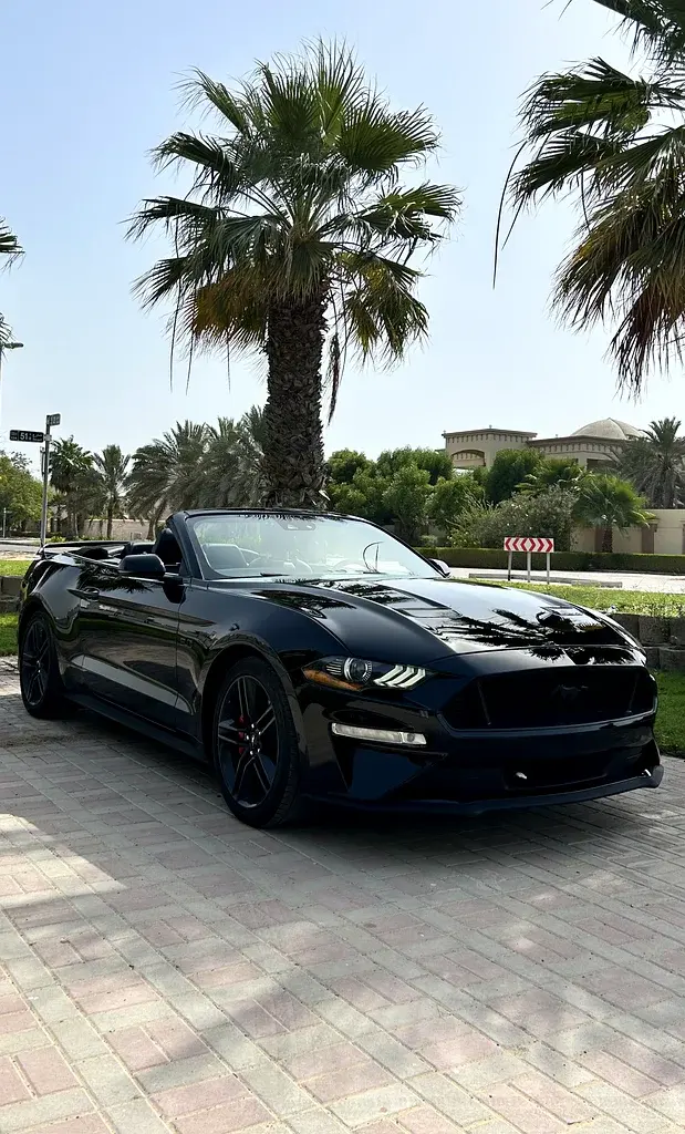 Ford Mustang 2020