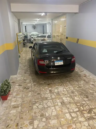 Check For Car Service