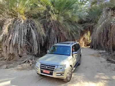 MSM CAR RENTALS - TRANSPORT