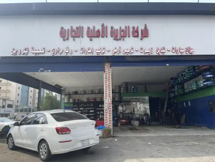 Tire Plus Michelin Electronic Scale