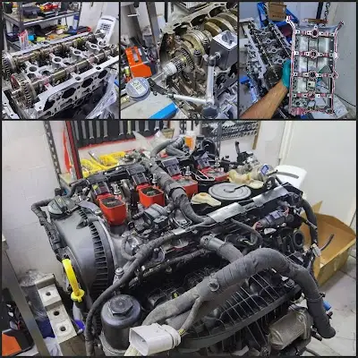 Venomous Oman Performance فينوموس عمان للتحسين الكفاءة