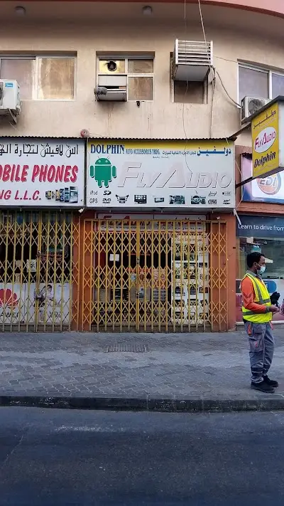 Dolphin auto accessories