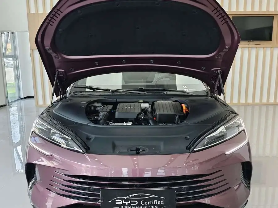 Sealion 2023 DM-i 1.5T 121km Flagship Model