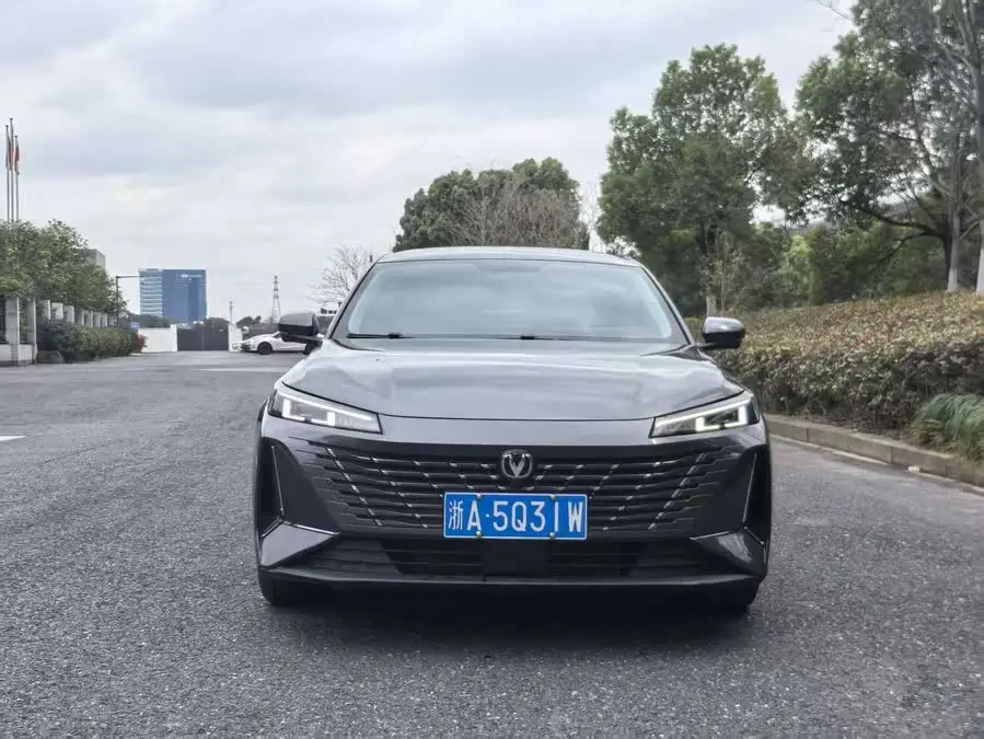 Yidong 2024 1.5T GDI Automatic Flagship