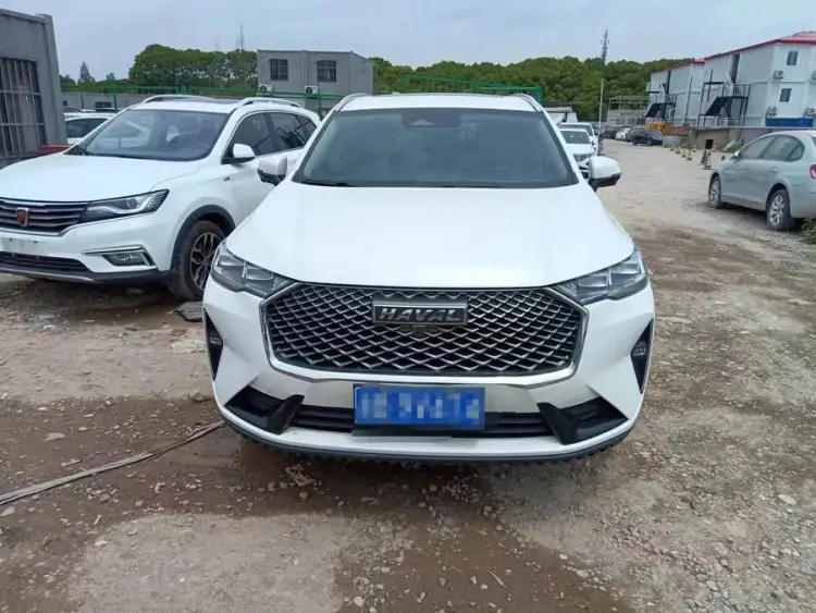 Haval H6 2021 Model Third Generation 1.5T Automatic Two-Wheel Drive Pro