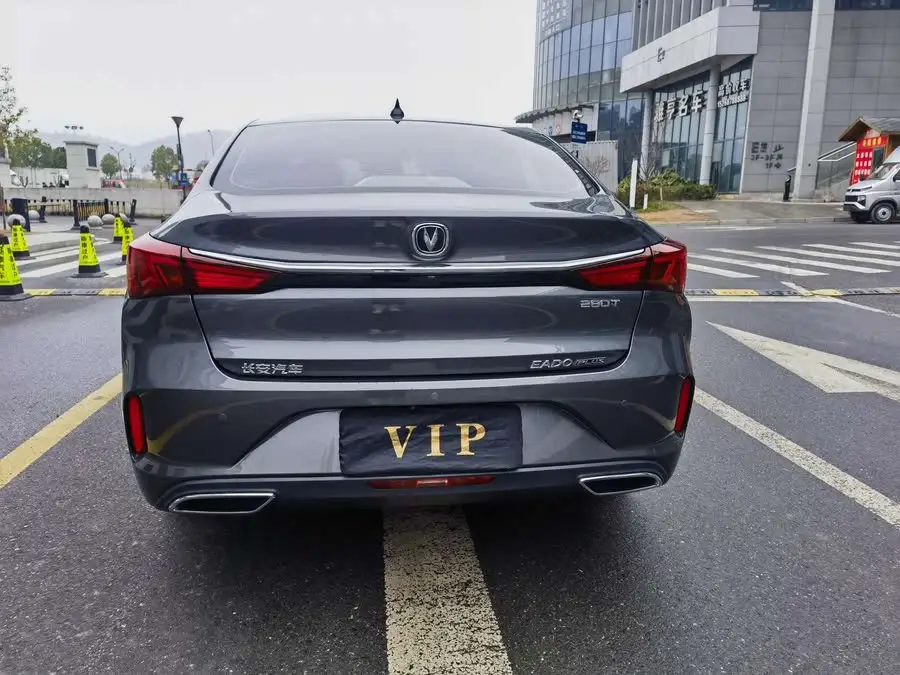 Yidong 2022 PLUS Blue Whale NE 1.4T GDI DCT Flagship Edition