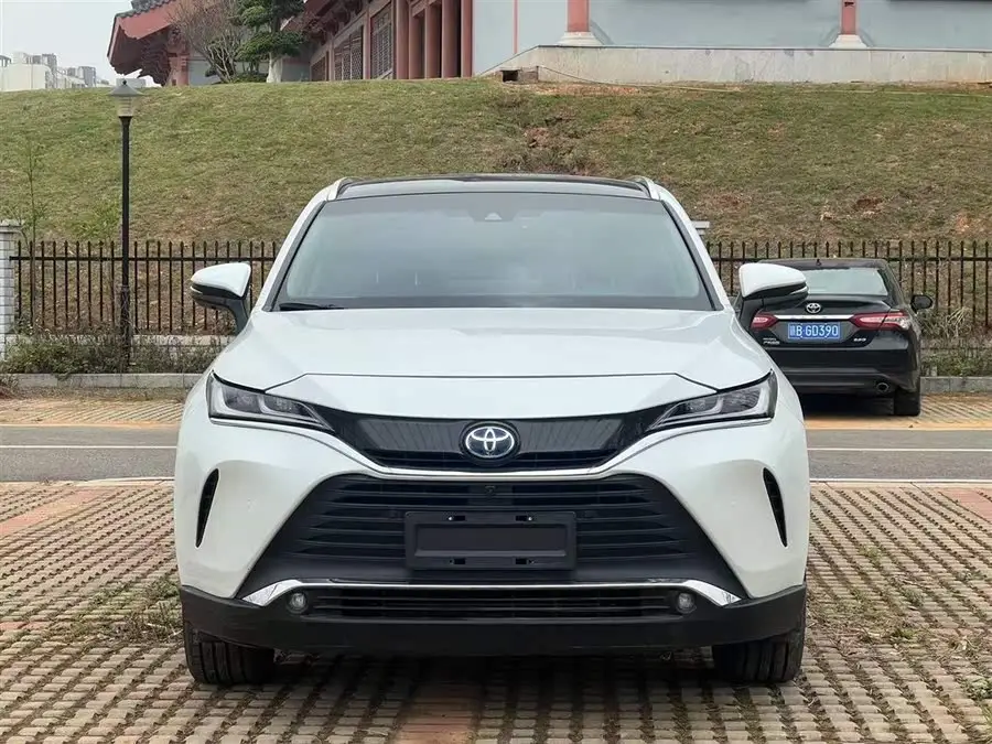 2023 لينغفانغ هارير بمحرك مزدوج 2.5 لتر CVT دفع رباعي إصدار بريميوم