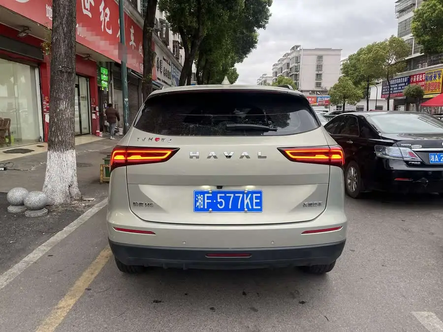 Haval H6 2024 1.5T Two-Wheel Drive Max