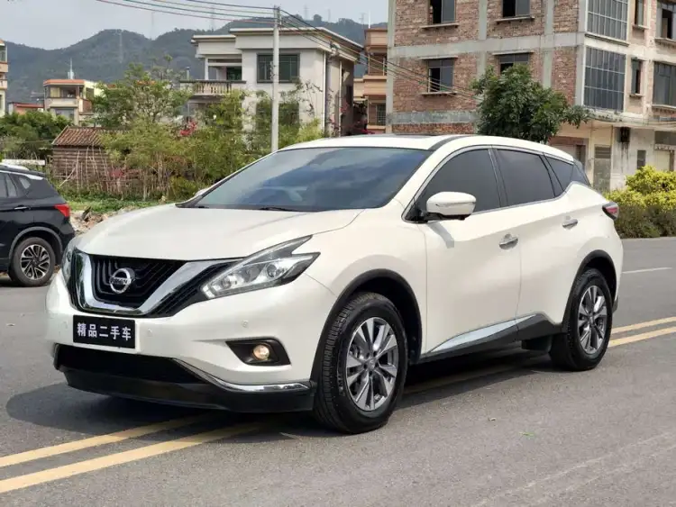 Luo Lan 2021 2.5L XL Two-Wheel Drive Intelligent Luxury Edition