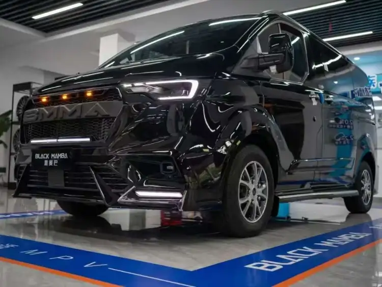 Tourneo 2024 2.0T Automatic Elite Plus