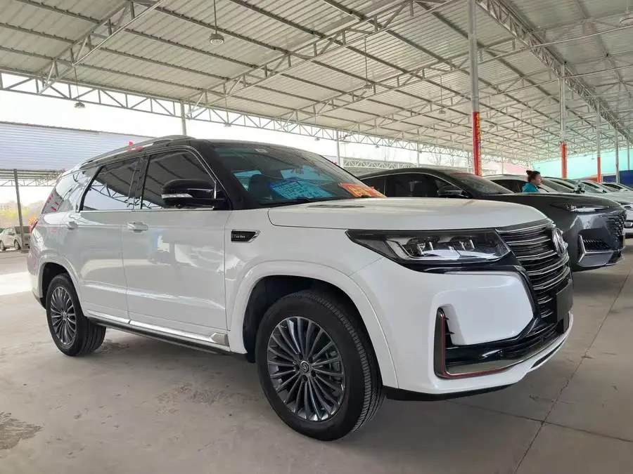 Changan CS95 2021 2.0T Two-Wheel Drive Luxury Edition