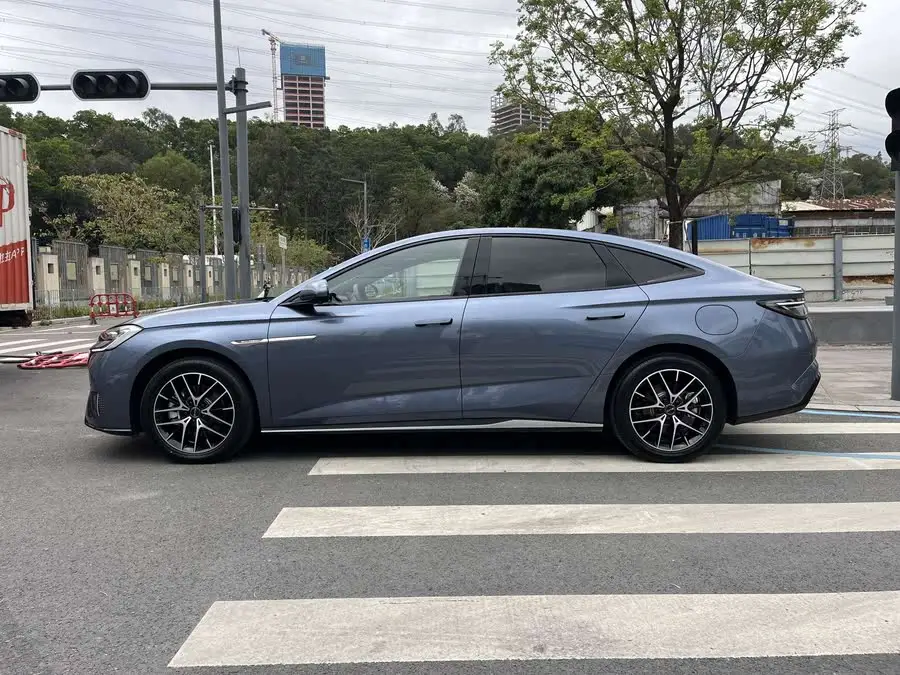 سيلاين 2023 DM-i 1.5T 121 كم فئة رائدة