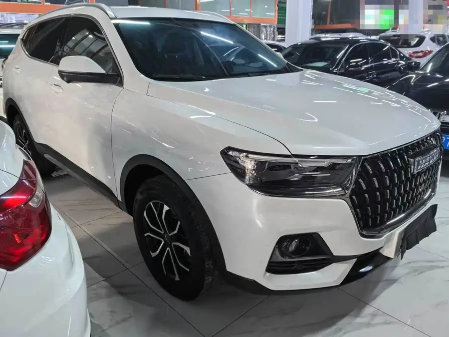 Haval H6 2023 National Trend Edition 1.5T Automatic Urban Version