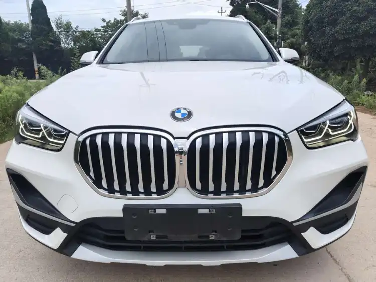 BMW X1 2020 sDrive20Li Enjoyment Edition