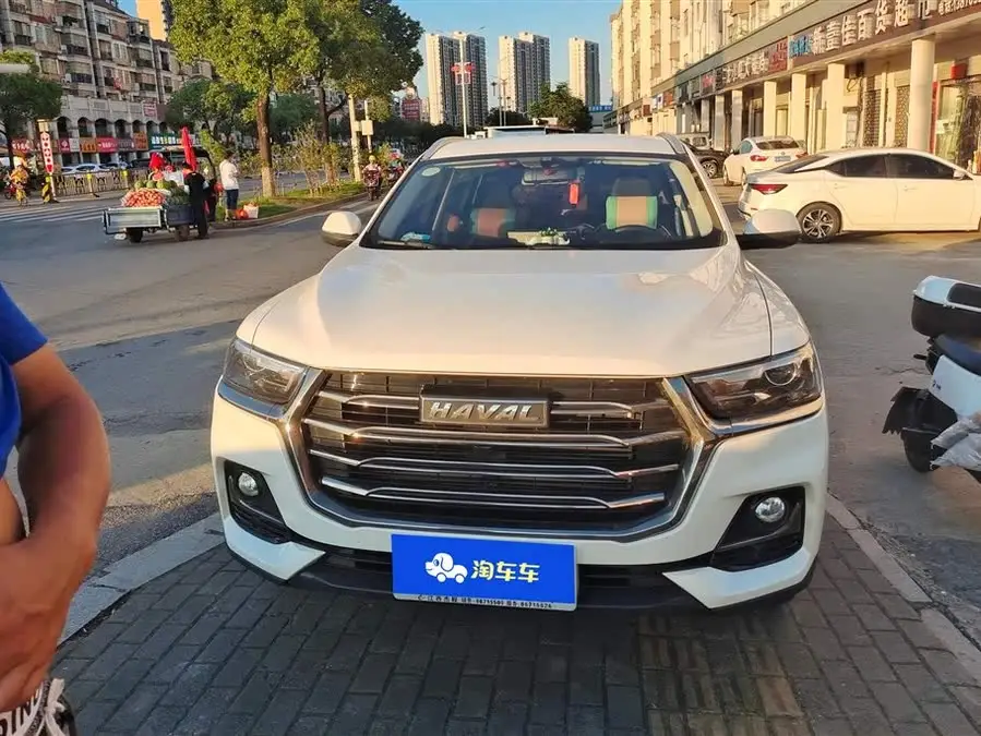 Haval H6 2021 National Trend Edition 1.5T Automatic Urban Version