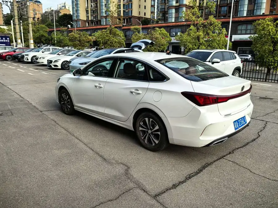 Yidong 2023 Model Changxiang Version PLUS Blue Whale NE 1.4T GDI DCT Premium Version