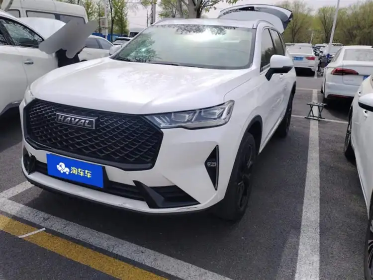 Haval H6 2021 Model Third Generation 2.0T Automatic Two-Wheel Drive Max