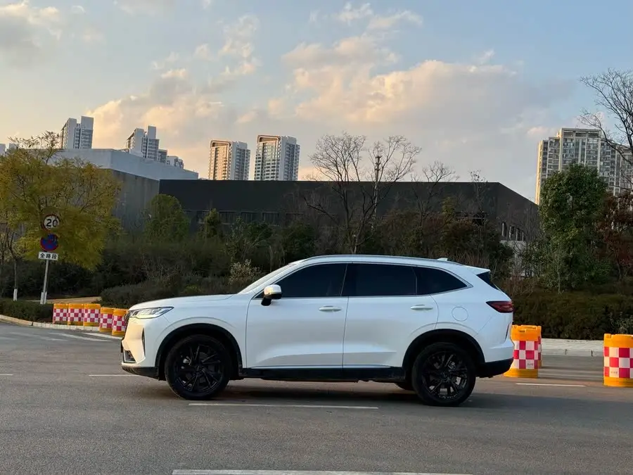 Haval H6 2021 Model Third Generation 2.0T Automatic Four-Wheel Drive Max