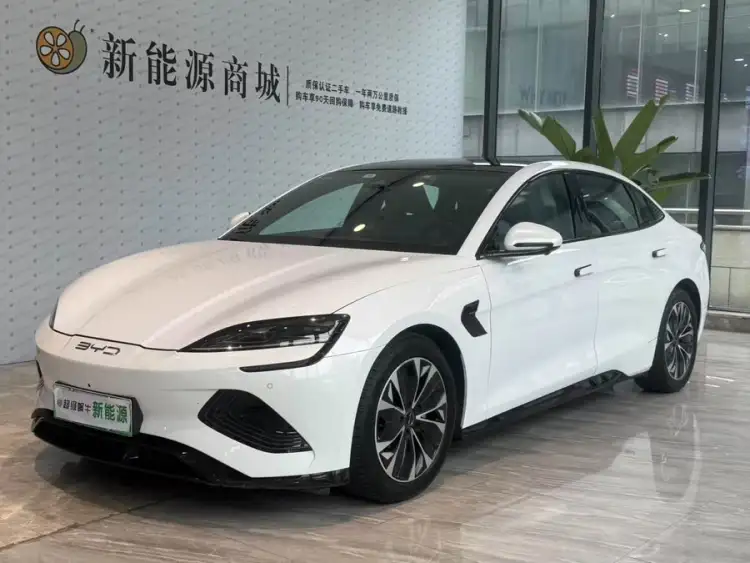 Sealion 2022 Model 550km Standard Range Rear-Wheel Drive Deluxe Version