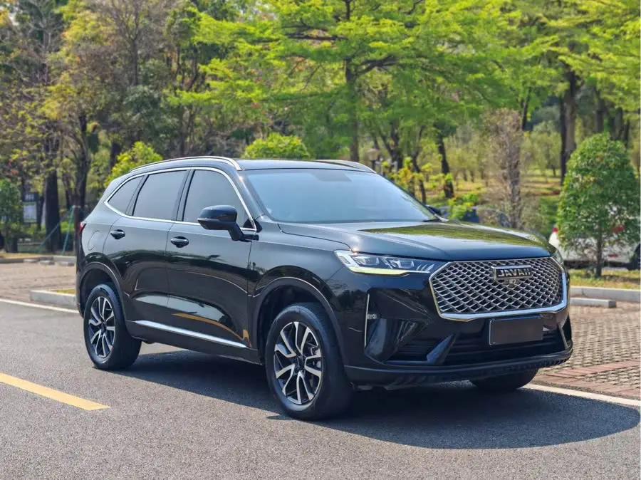 Haval H6 2021 Model Third Generation 1.5T Automatic Two-Wheel Drive Pro