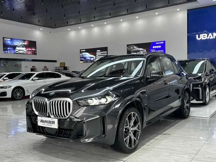 BMW X5 2023 xDrive 30Li M Sport Night Package