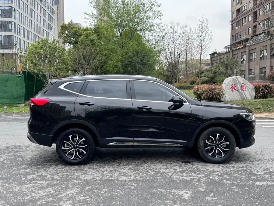 Haval H6 2023 National Trend Edition 1.5T Automatic Urban Version