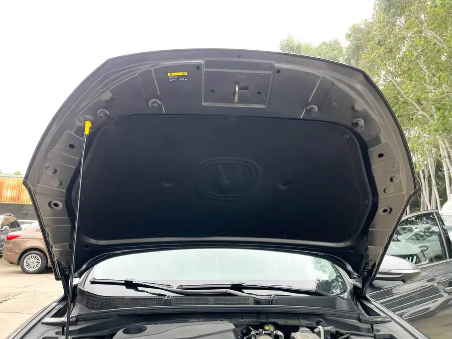 Yidong 2023 Model Changxiang Version PLUS Blue Whale NE 1.4T GDI DCT Premium Version