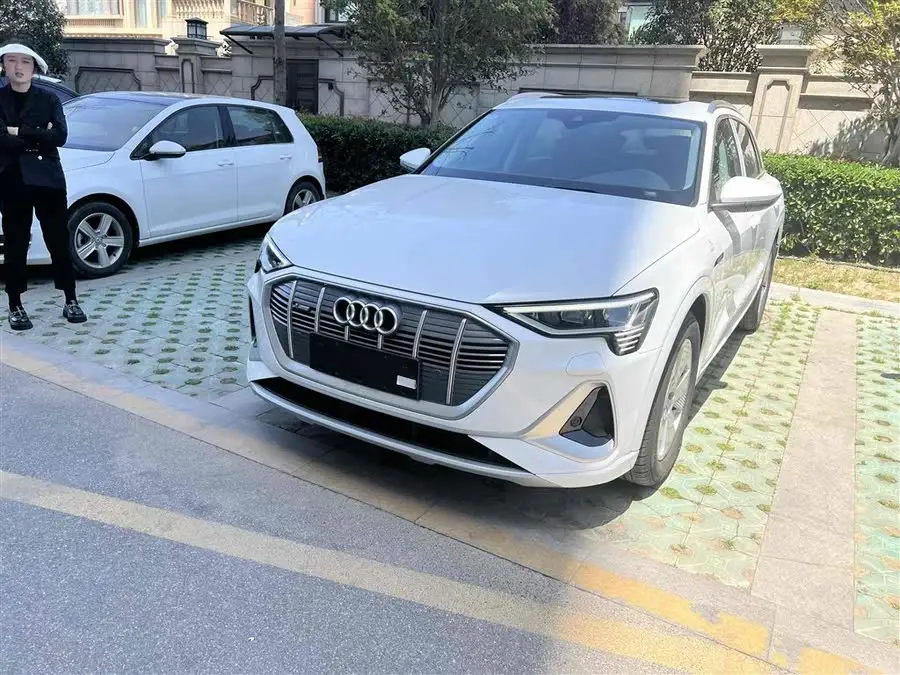 Audi e-tron 2021 50 quattro Luxury