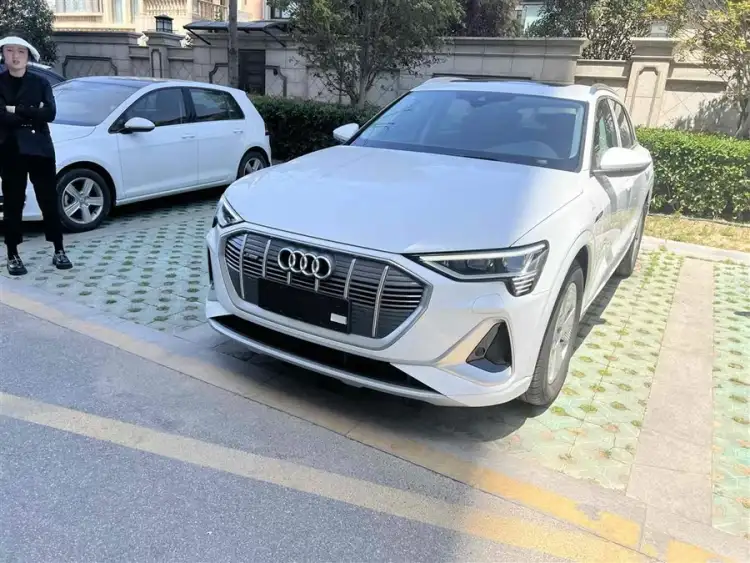 Audi e-tron 2021 50 quattro Luxury