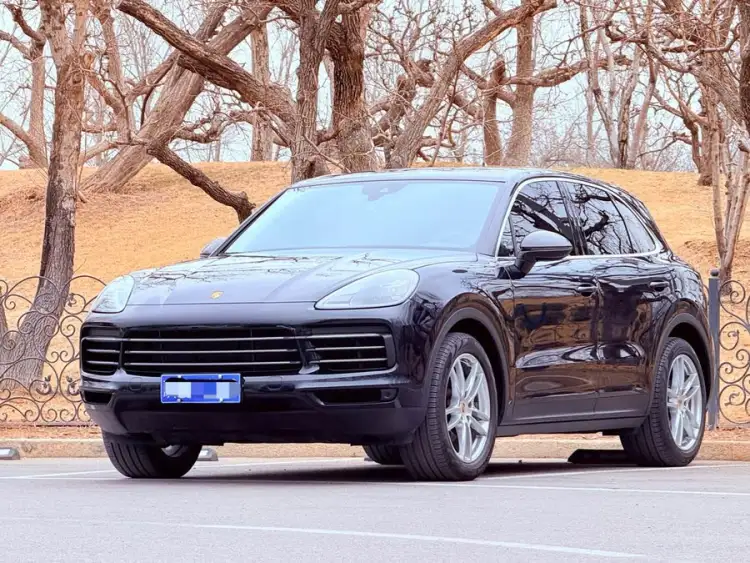 2022 Cayenne 3.0T Platinum Edition