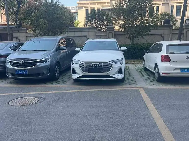 Audi e-tron 2021 50 quattro Luxury