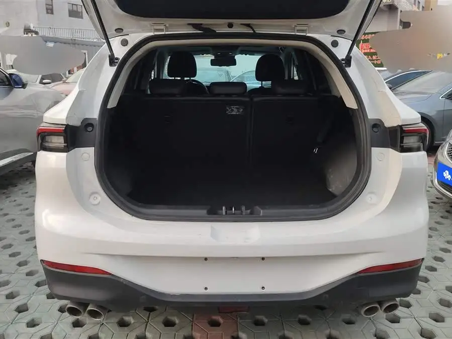 Fengxing T5 EVO 2021 1.5TD DCT Diamond Edition