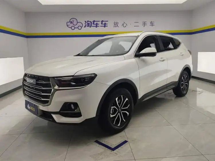 Haval H6 2021 National Trend Edition 1.5T Automatic Urban Version