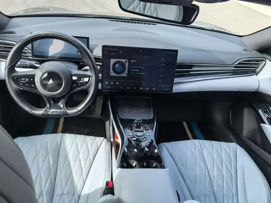 Sealion 2022 Model 550km Standard Range Rear-Wheel Drive Premium Version