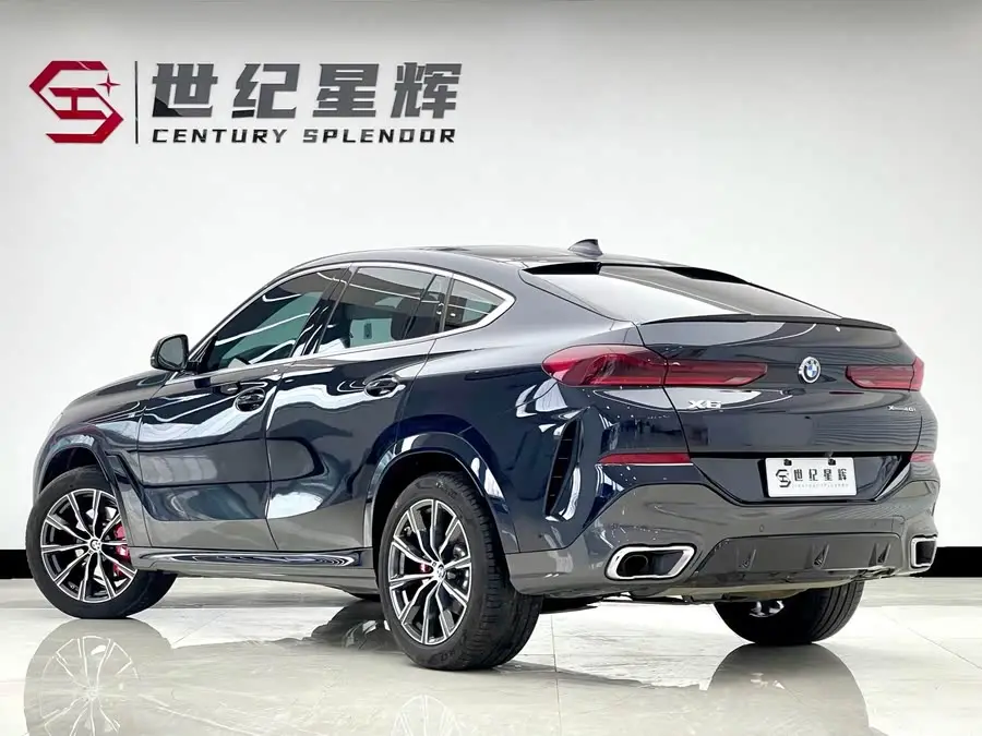 BMW X6 2022 xDrive30i M Sport Package