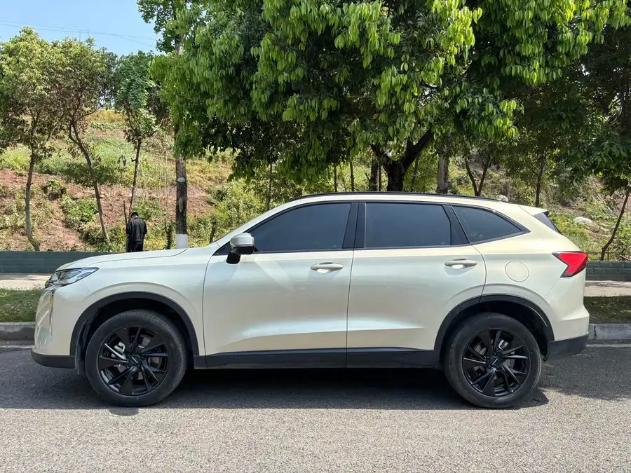 معلومات نموذجية أساسية