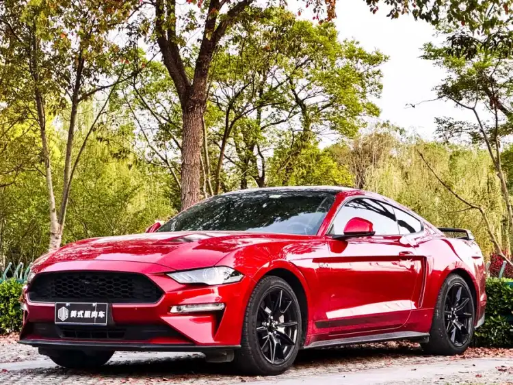 2020 Mustang 2.3L EcoBoost Black Shadow Special Edition