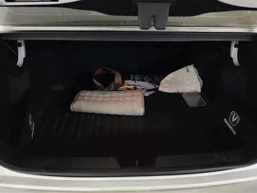 Yidong 2022 Plus Blue Whale NE 1.4T GDI DCT Premium Version