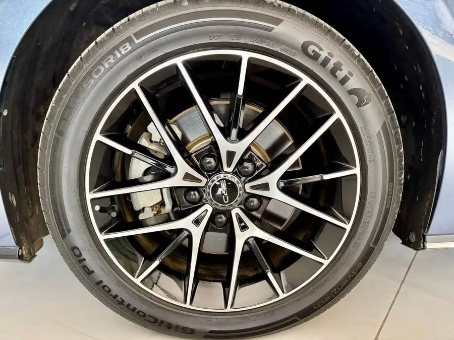 سمكة الفقمة 2023 DM-i 1.5T 121 كم الطراز الرائد