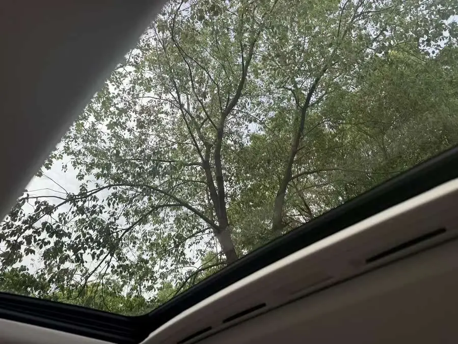 يونغوي 2020 552T النخبة